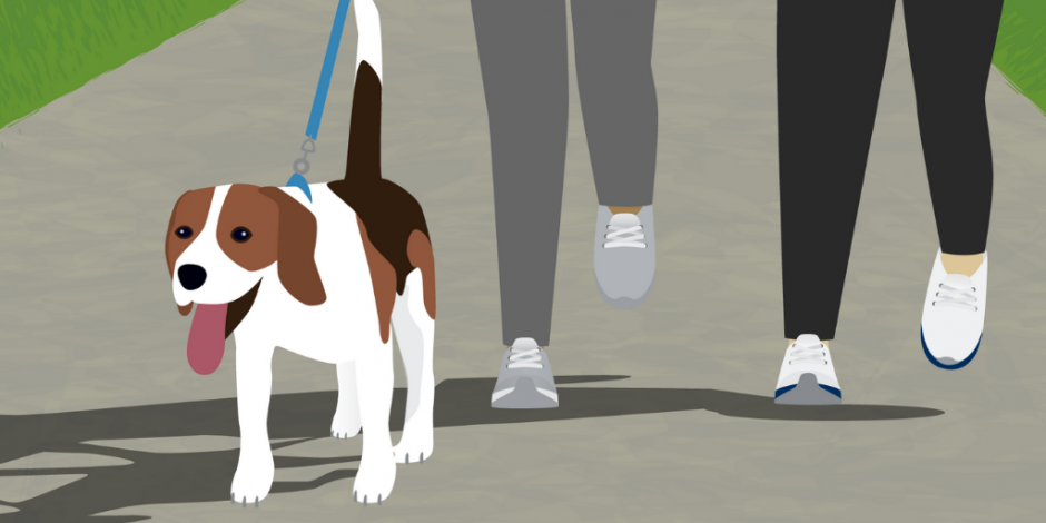 Dog on leash walking next to owners